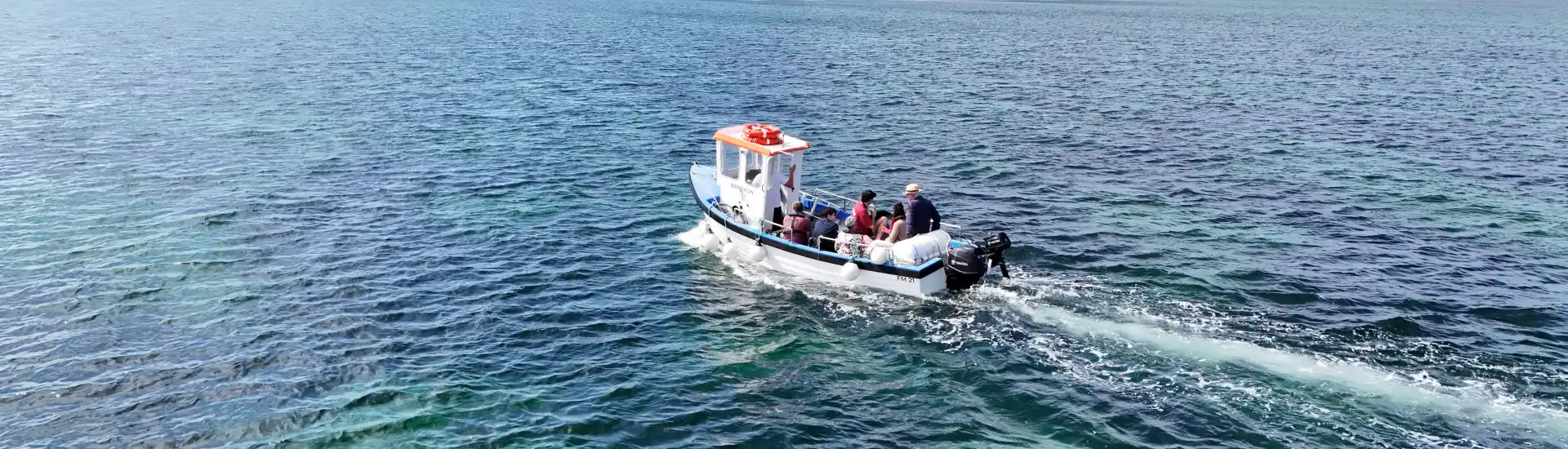 Family Boat Tour - Roundstone Bay And Island